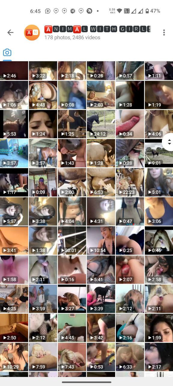 RP VIDEOS