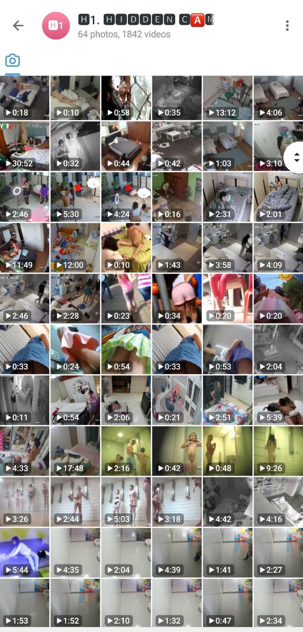 GAY Collection